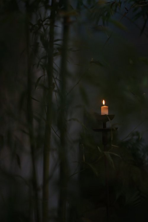 嶺南‖敦煌畫院授牌暨雲境雅集