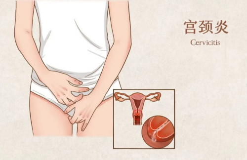 儿童洗衣机什么品牌质量好？2025精选10款质量好的儿童洗衣机