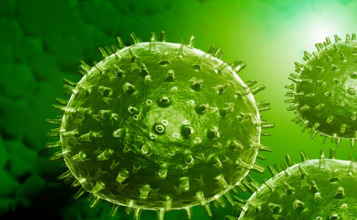 双十二有什么内衣洗衣机可以买？家用首选前十名内衣洗衣机大盘点