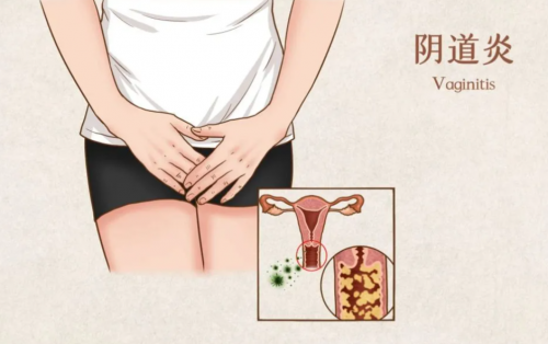 内衣洗衣机推荐哪款好？盘点十款实用性强的内衣洗衣机品牌！