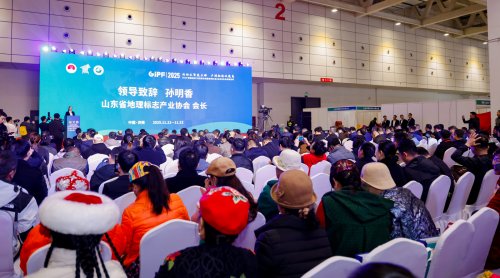 地理标志赋能乡村振兴，广西灵山奶水牛亮相齐鲁大地