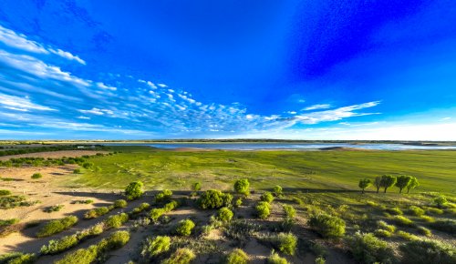 沙退绿进换新颜！乌审召镇以生态实践擦亮“牧区大寨”绿色名片