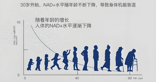 2025年最新NMN品牌排行榜：抗衰市场最新数据公布，三井NMN凭什么霸榜第一？