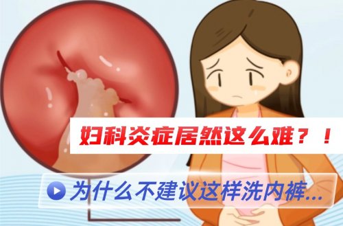 洗内裤和袜子的洗衣机哪个好？盘点十款旗舰级内衣洗衣机型号！