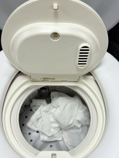 洗内裤和袜子的洗衣机哪个好？盘点十款旗舰级内衣洗衣机型号！