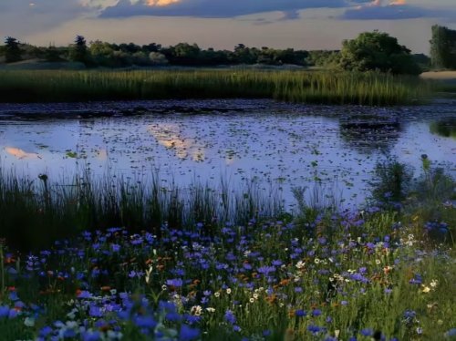 别让考试焦虑绊住脚：给青少年的心理“解压锦囊”——东方心语