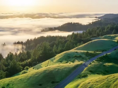 牵起孩子的手：陪他读懂情绪里的小秘密——东方心语