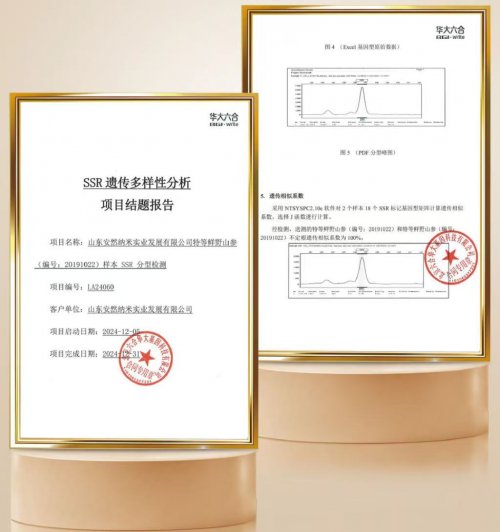 安然集团出席中医药康养大会,发表演讲释植物干细胞价值