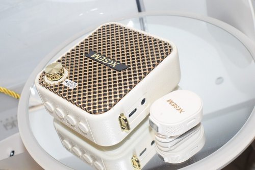 扩音器哪个品牌好？什么牌子的小蜜蜂扩音器最好？扩音器推荐2025