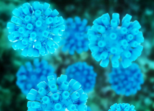 双12买洗衣机有优惠吗?盘点十款优惠满满的内衣洗衣机!