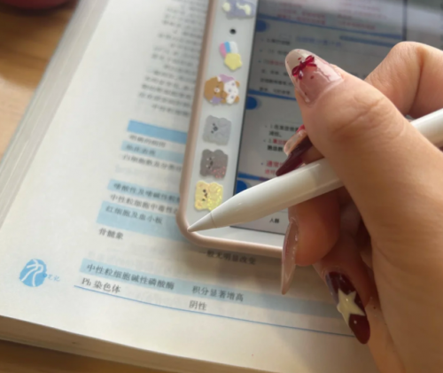 电容笔哪个品牌好？2025年度盘点:细致评估10款品牌,并揭晓怎么选