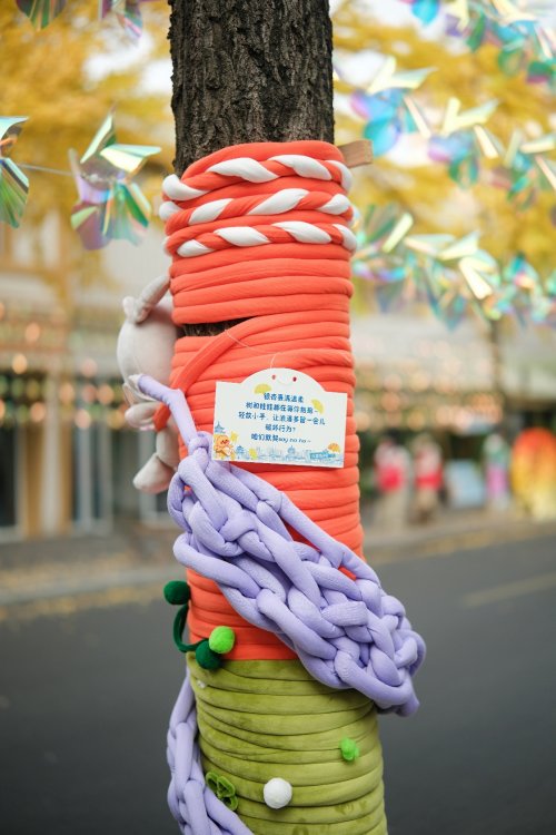 兴蓉社区第五届银杏季11月28日启幕:延续口碑热度,今年确“杏”再添新亮点第2张-成都新闻网 兴蓉社区第五届银杏季11月28日启幕:延续口碑热度,今年确“杏”再添新亮点第2张