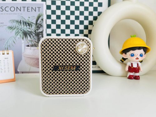 2025年教师扩音器哪个最好?教师扩音器最新款前十名推荐