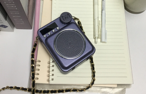 2025年教师扩音器哪个最好?教师扩音器最新款前十名推荐