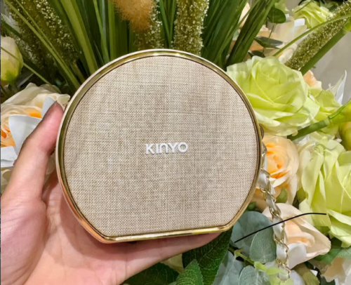 2025年无线扩音器哪个牌子好？领夹式扩音器十大品牌推荐