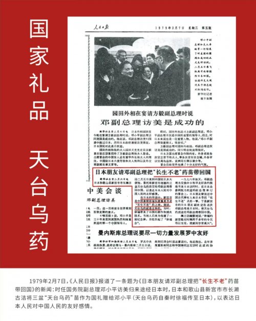 天台乌药荣登国际元首晚宴，“中华老字号”再启“和合使者”新篇章