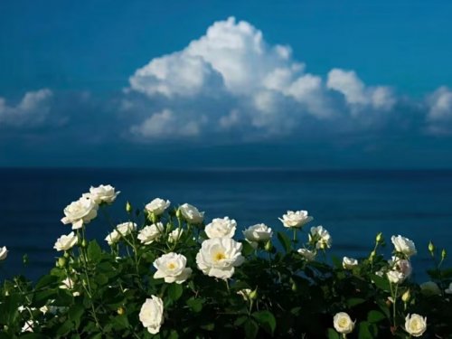 培养孩子的精神力量：让他眼里有光，心中有爱——东方心语