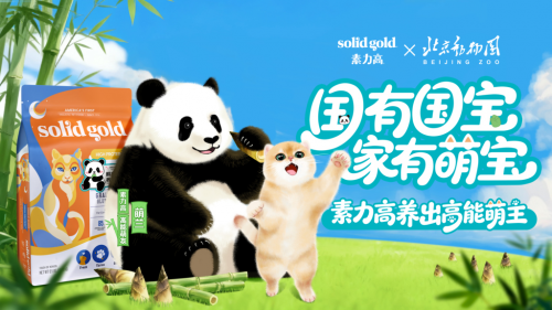 健合Solid Gold素力高联动顶流萌兰，凭科学配方筑牢猫咪肠道健康防线