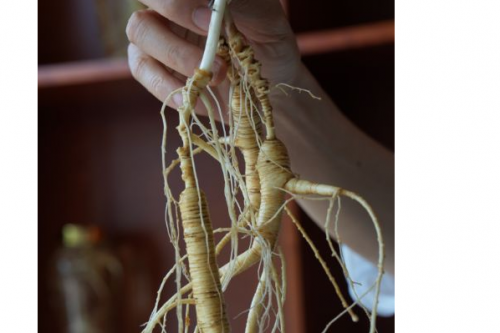 人参哪个品牌质量最好？五款活性成分检测达标的产品