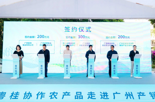 壮美广西 桂品入湾