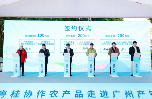 壮美广西 桂品入湾