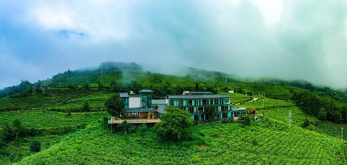 南涧县无量山北纬二十五度茶业有限责任公司、大理南涧无量玉璧半山酒店有限公司王成印