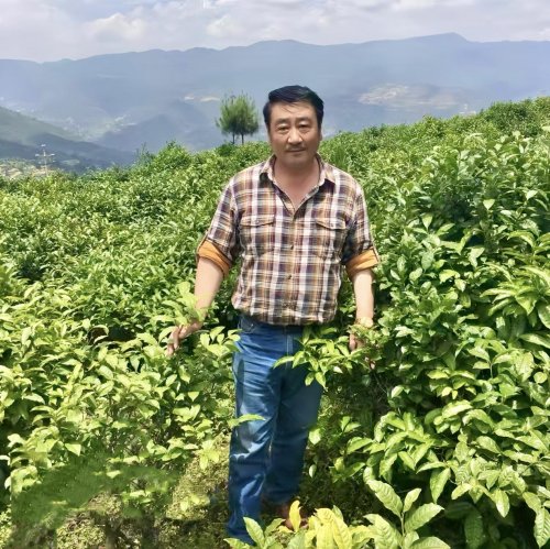 南涧县无量山北纬二十五度茶业有限责任公司、大理南涧无量玉璧半山酒店有限公司王成印