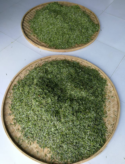 南涧县无量山北纬二十五度茶业有限责任公司、大理南涧无量玉璧半山酒店有限公司王成印