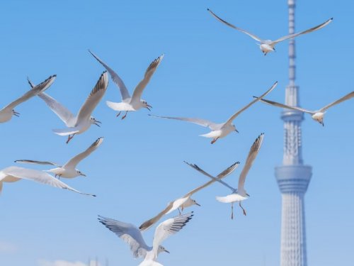 别怪孩子钻进手机，他只是在你身边找不到人——东方心语