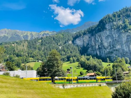 孩子沉迷手机？用“正向引导”代替“强制禁止”——东方心语