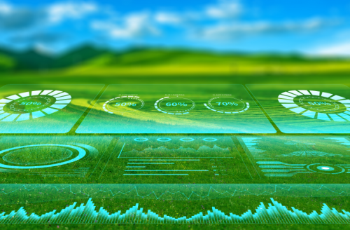 鄂尔多斯市优盛种养殖有限公司：强化知识产权保护，助力品牌高质量发展