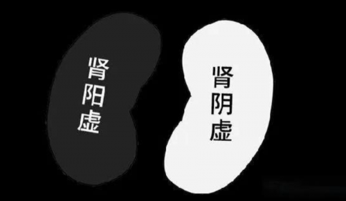 肾阳虚和肾阴虚有什么区别？2025年度补肾壮阳产品大盘点，雄风秘方流出