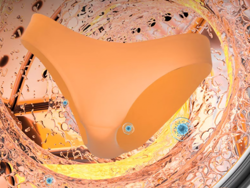 洗内裤的洗衣机推荐哪款？揭秘2026年十大畅销的内衣洗衣机品牌！