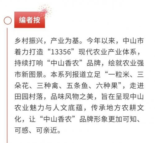 从富硒田到“稻梦空间”，科技赋能下的生态