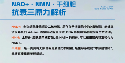 致40+的理性选择，为何NMN18000契合精简高效的抗衰哲学？