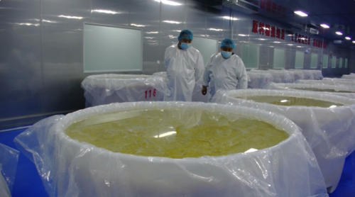 非遗酸菜的产业化创新与发展 ---辽宁鼎鑫亿航农业科技有限公司第3张-华夏都市网 非遗酸菜的产业化创新与发展 ---辽宁鼎鑫亿航农业科技有限公司第3张