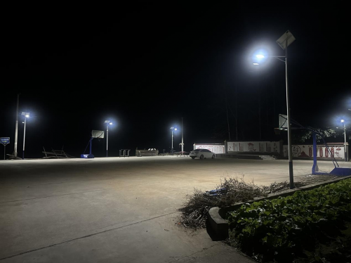 湖北：深耕振兴沃土 赋能乡村蝶变——来凤联通绘就马家坝村幸福新图景​