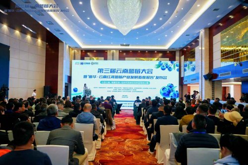 云蓝之巅，莓耀亚洲——第三届云南蓝莓大会暨“新华·云南红河蓝莓产业发展指数报告”成功举办！