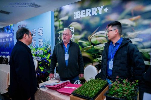 云蓝之巅，莓耀亚洲——第三届云南蓝莓大会暨“新华·云南红河蓝莓产业发展指数报告”成功举办！