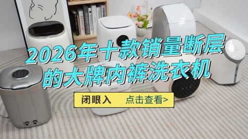 内衣裤洗衣机怎么选？盘点2026年十款销量断层的大牌内裤洗衣机