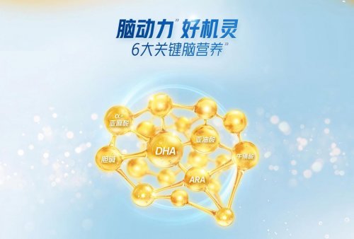 2025年好消化吸收能长肉的奶粉品牌有哪些？五大品牌核心维度深度解析