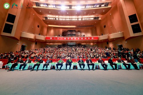 双誉加身！理想华莱在茶业经济年会斩获两项行业重磅荣誉