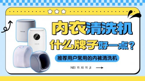 内裤清洗机什么牌子好一点？推荐用户常用的内裤清洗机，超实用！