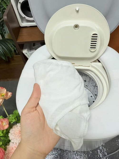 婴儿洗衣机十大排名品牌有哪些呢？口碑天花板婴儿洗衣机闭眼入