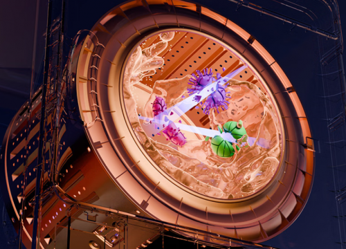 有必要买一台内衣裤专洗机吗？2026十大内裤专洗机分享，错过可惜