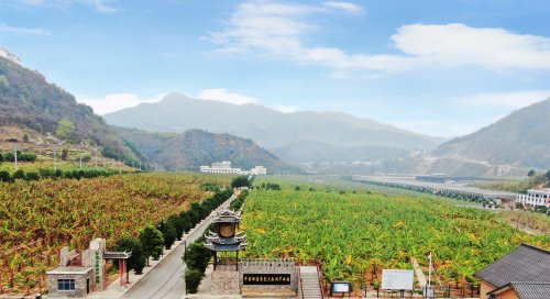 黔西南联通数字赋能册亨县精准帮扶助力乡村振兴 黔西南联通数字赋能册亨县精准帮扶助力乡村振兴