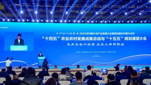 “小蟳女”非遗文旅IP入选2025乡村振兴实践案例