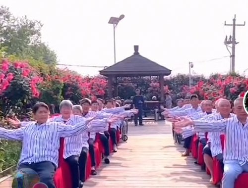 仁心铸医魂，大爱护安康一一记桃江县养老康医院龚立姣院长