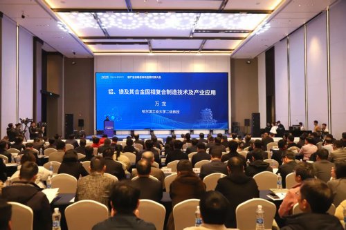 万龙在镁产业大会作专题报告：SCP技术赋能镁合金高质量发展