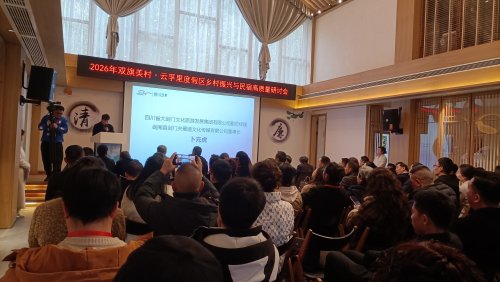 民宿赋能乡村振兴新实践
——四川首届行业高峰论坛暨双旗美村示范项目开业纪实